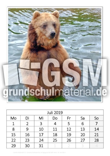 Juli_Kamtschatkabär_2.pdf